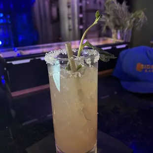Paradox Paloma