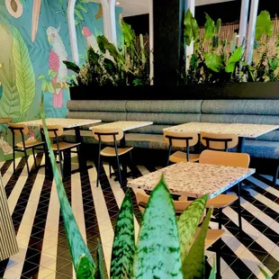 Interior dining area