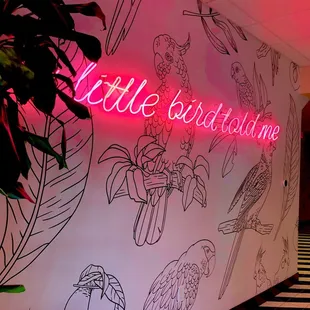 neon wall Art 'a little bird told me,'