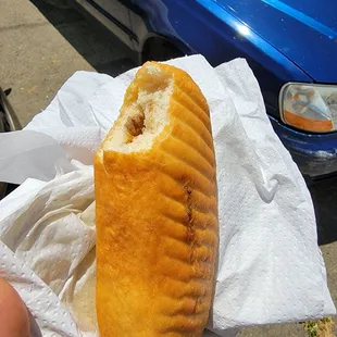 Fried Beef and Cheese Piroshki