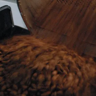 ramen and noodles