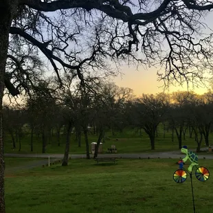 There were only 5 or 6 other campsites occupied; had the place to ourselves.