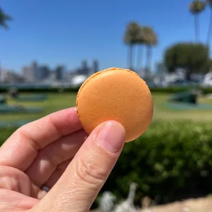 Passion fruit mango macaroon.