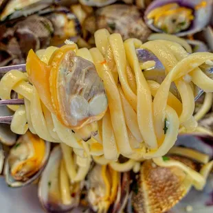 pasta with clams and clams