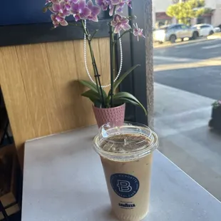 Iced Cafe Latte