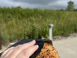 Bite This