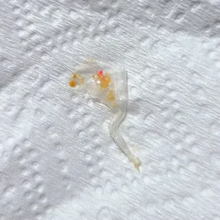 This piece of plastic is in the milk cream bread