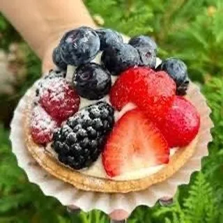 Berry Tart