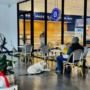 Outdoor seating. Dog friendly.