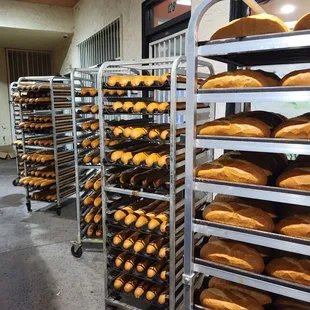 5:30 am... cooling the morning&apos;s bread...