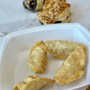 Chicken dumplings