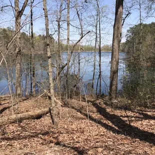 Holding pond off upper lake trail.