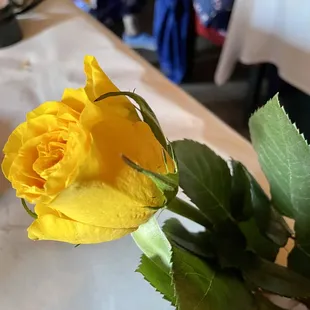 a single yellow rose on a table