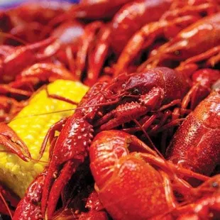 hot dog, hot dogs, sandwich, food