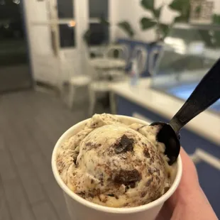 Espresso Brownie Icecream