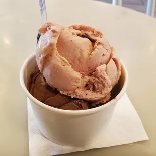 Chocolate &amp; Strawberry Ice Cream