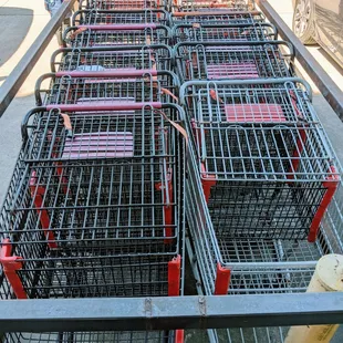 Shopping Carts