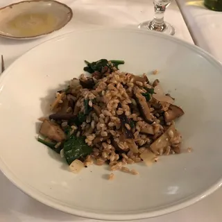 Organic Farro