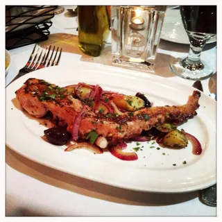 Grilled Octopus