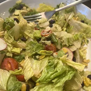 I've had good experiences here before, but this was not one. This is the Southwest Salad. The lettuce looks sad and made me sad too.