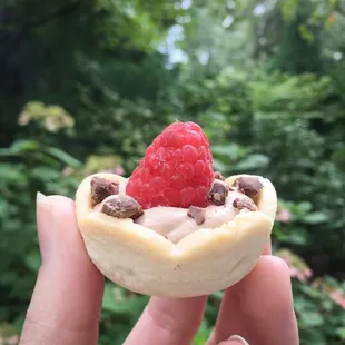 Raspberry tartlet with chocolate mousse