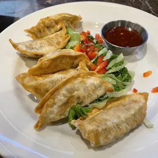 Vegetable potstickers