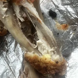 Fly eggs inside my chick wings