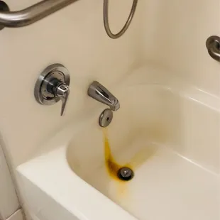 The disgusting bathtub that looks like it&apos;s never been cleaned