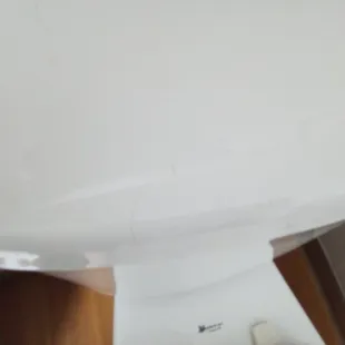 Hair on toliet