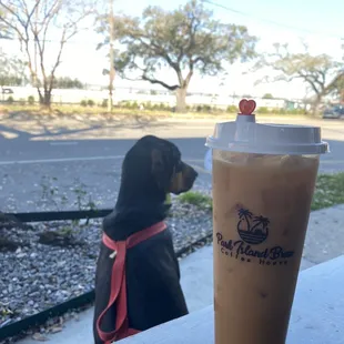 White chocolate cold brew