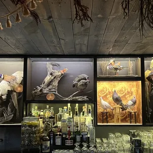 Bar decor , pretty cool haha