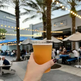 Park Saison - Belgian Style Summer Ale. YUM!