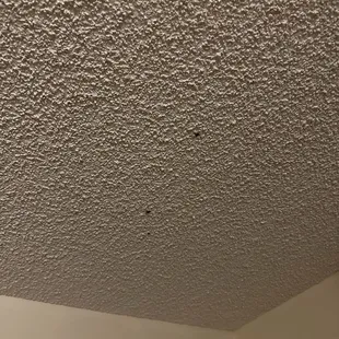 Mold in some of the rooms