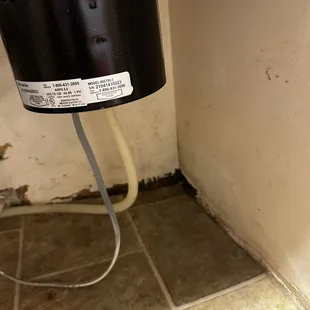 Mold on several places