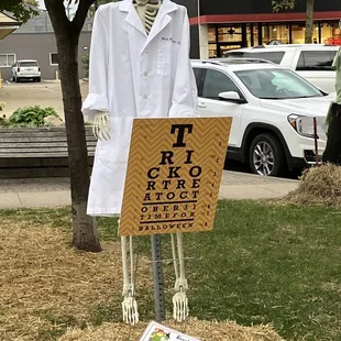 One of the scarecrows in the park across the street.