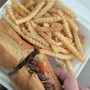 Cheesesteak w/ Fries