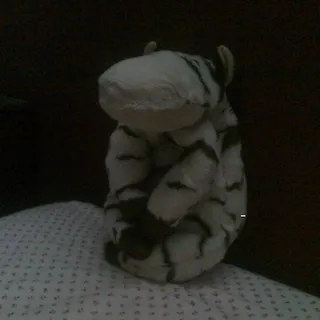 Jidds F.