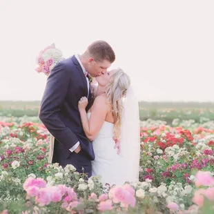 romance in the rose garden!