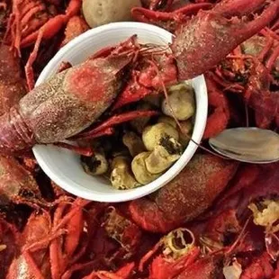 Select crawfish