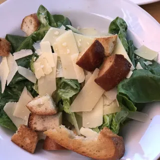 Young Romaine Salad