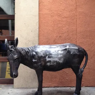 They used to have a badass mechanical bull and now all they have is this stationary broke-down donkey!