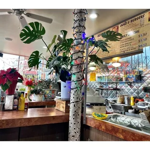 Inside ParkView Diner.Pilsen Chicago IL . Small Corner Mexican Neighborhood Old Fashion Diner. Good Food. Friendly Service. Cool.