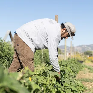 Farmer Ryan doing his thing