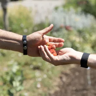 Unearth whats growing on a Farm Tour