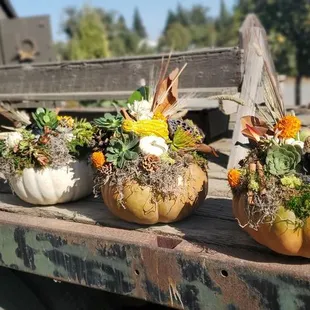 Our completed beauties