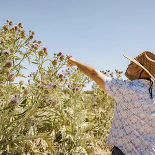 Giving a farm tour and talking about our artichokes!