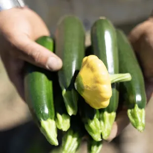 Fresh product grown right in our farm!