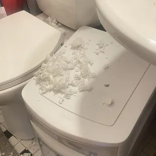 Insulation falling out all over bathroom.