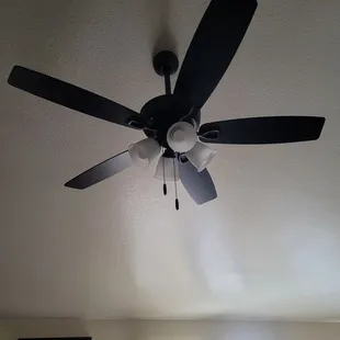 Living room ceiling fan.