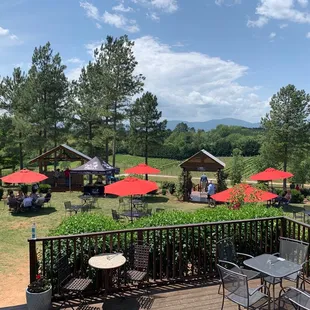 a view of the vineyard from the deck